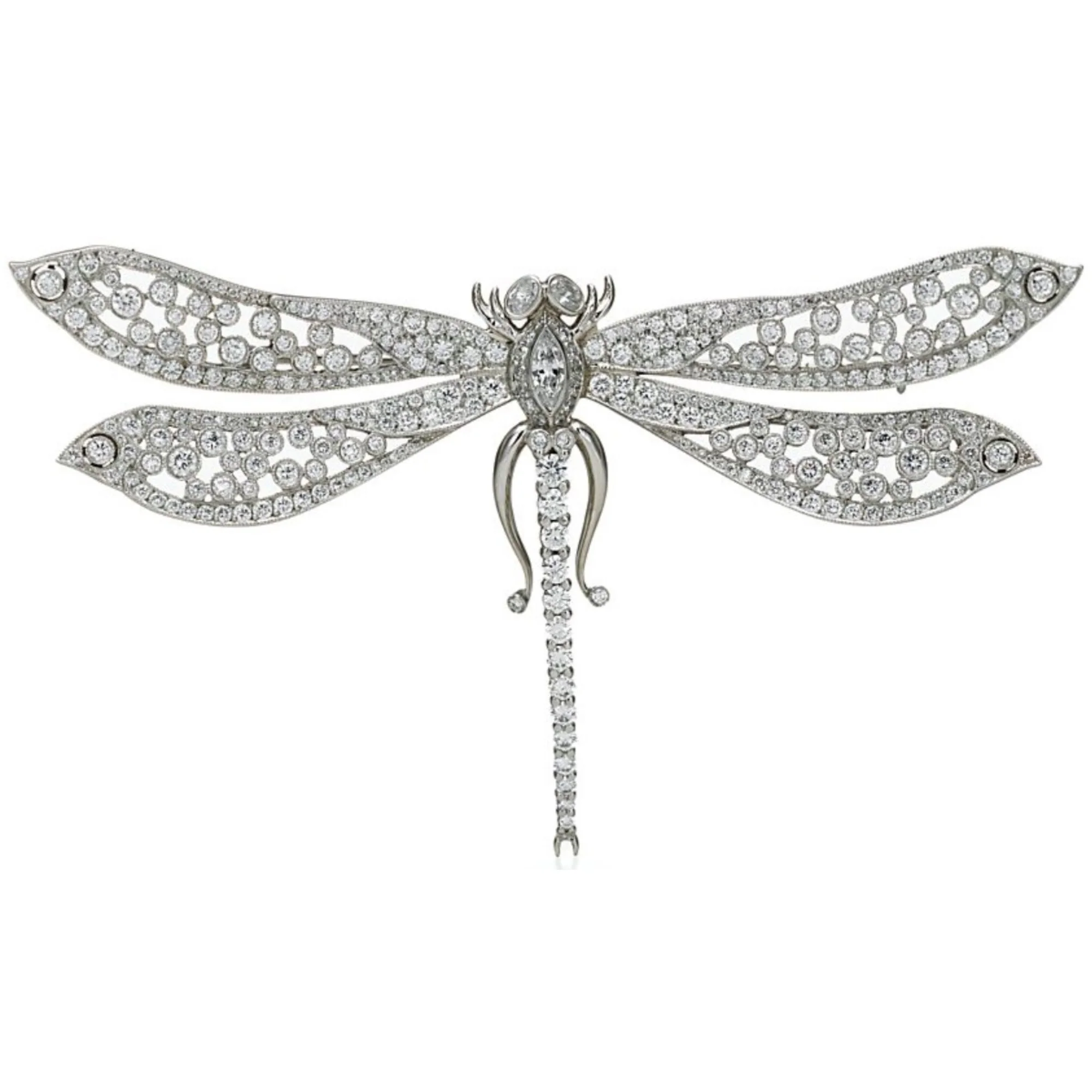 PT DI DRAGONFLY BR