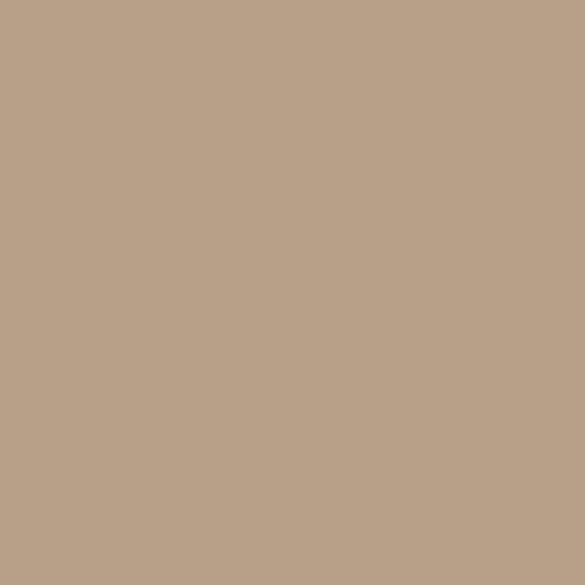 Clip Sunglasses - Gold - Image 9