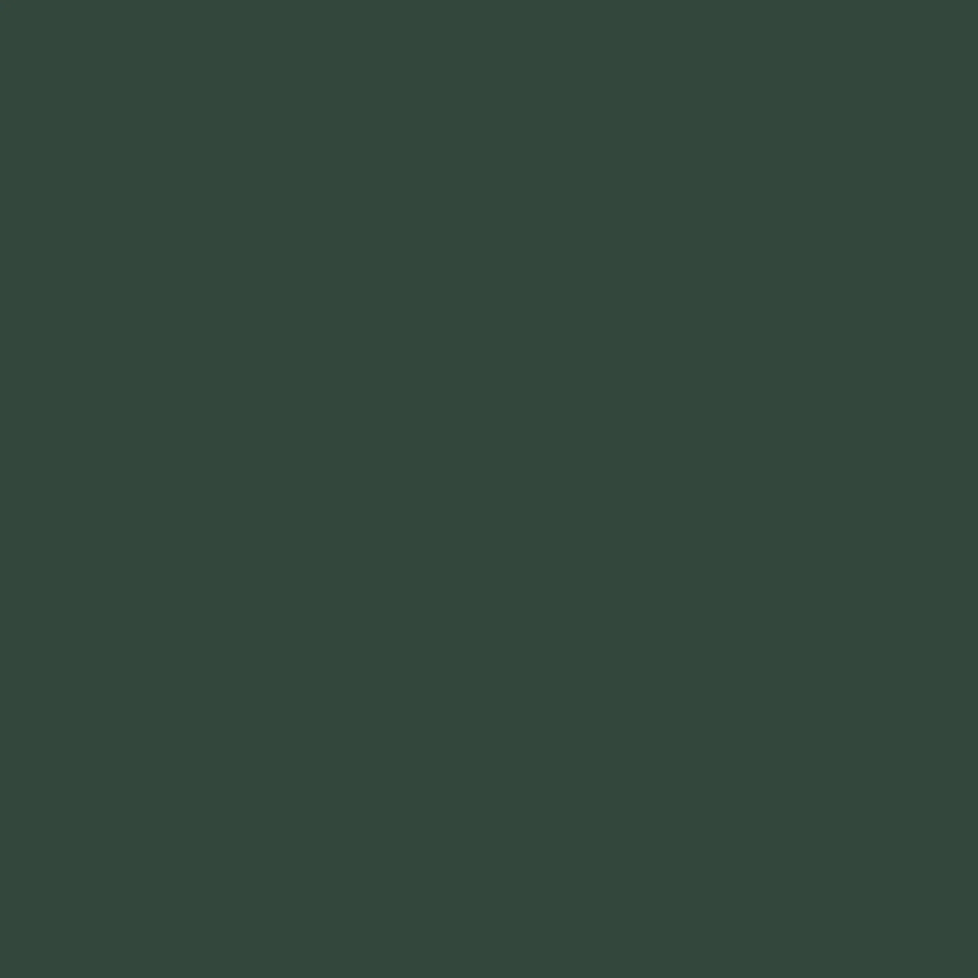 Rose Sunglasses - Forest Green - Image 6
