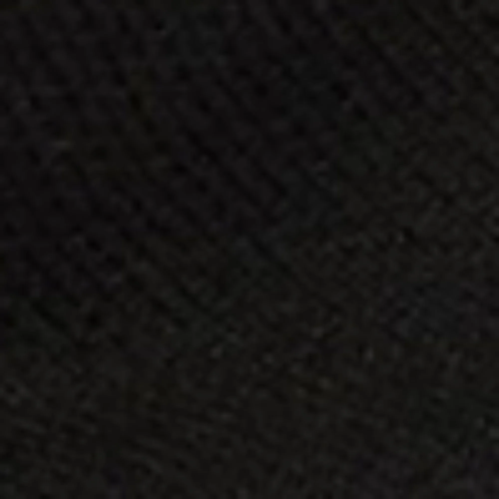 Speed Lt Sneaker Bico Sole - Black - Image 5