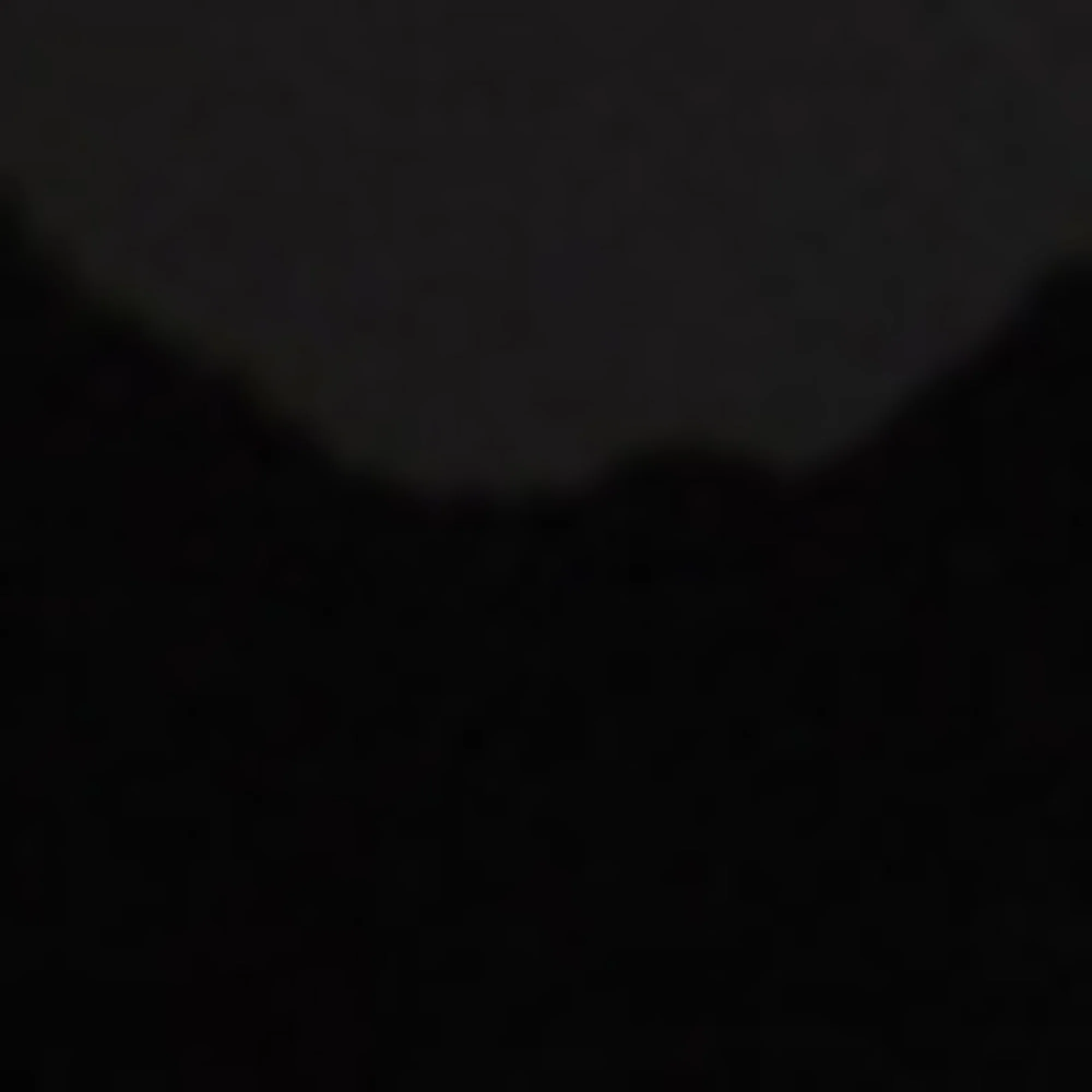 Triple S Logotype/Nw - Black/White - Image 7