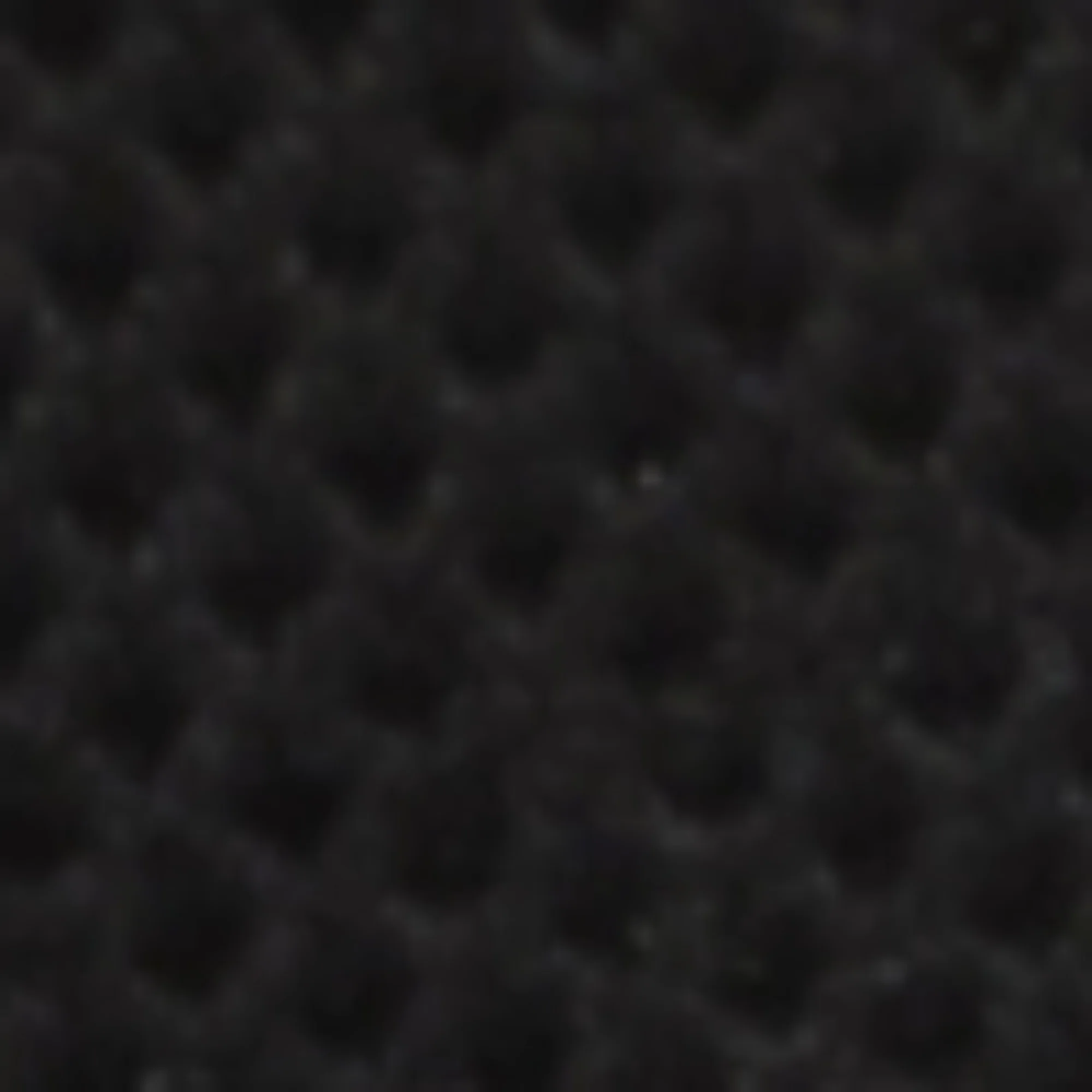 Speed Lt Laceup Bicolor Sole - Black - Image 5