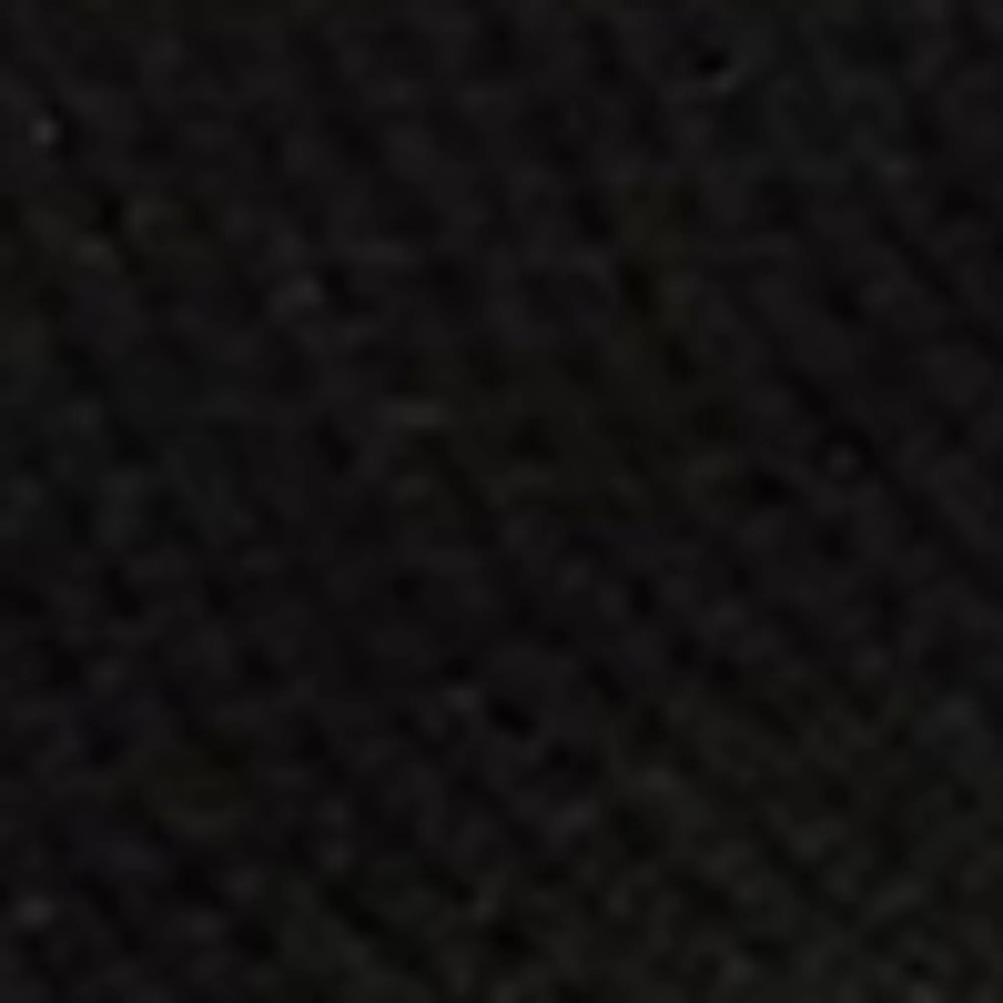 Speed Lt Sneaker Knit Simp - Black/White/Black - Image 5