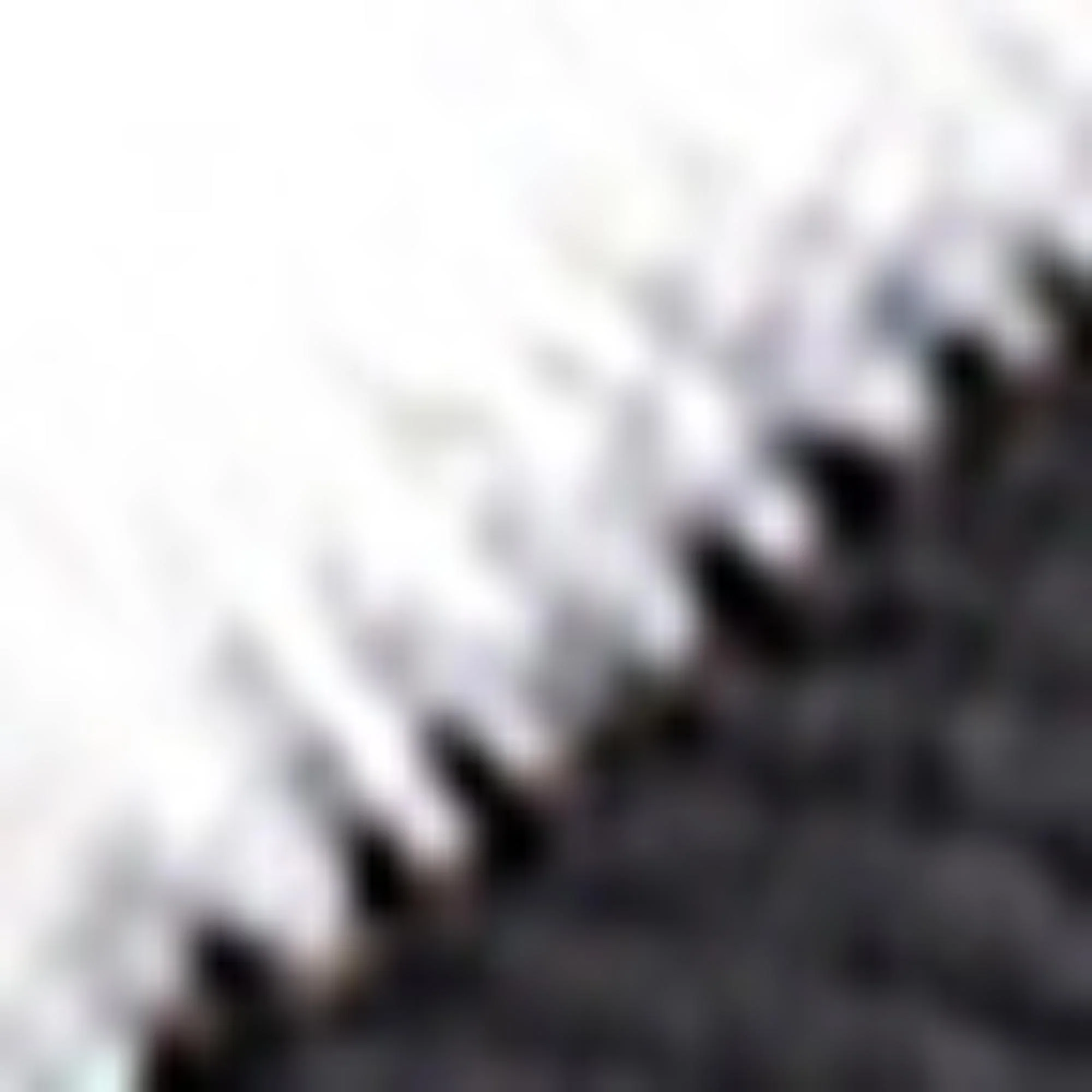 Gancini Baseball Cap - Black/White - Image 6