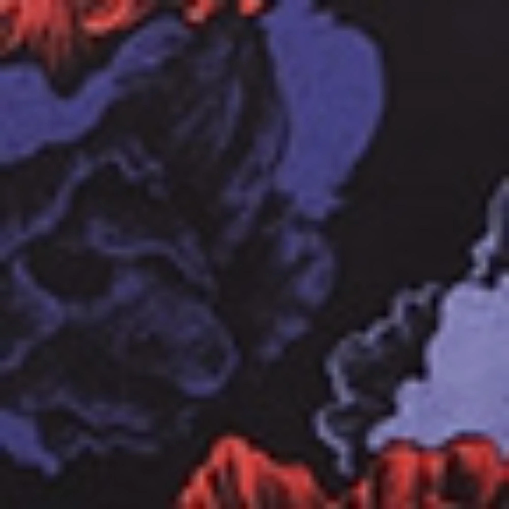 Poppies Print Silk Foulard (90x90cm) - Black/Blue Marine - Image 3