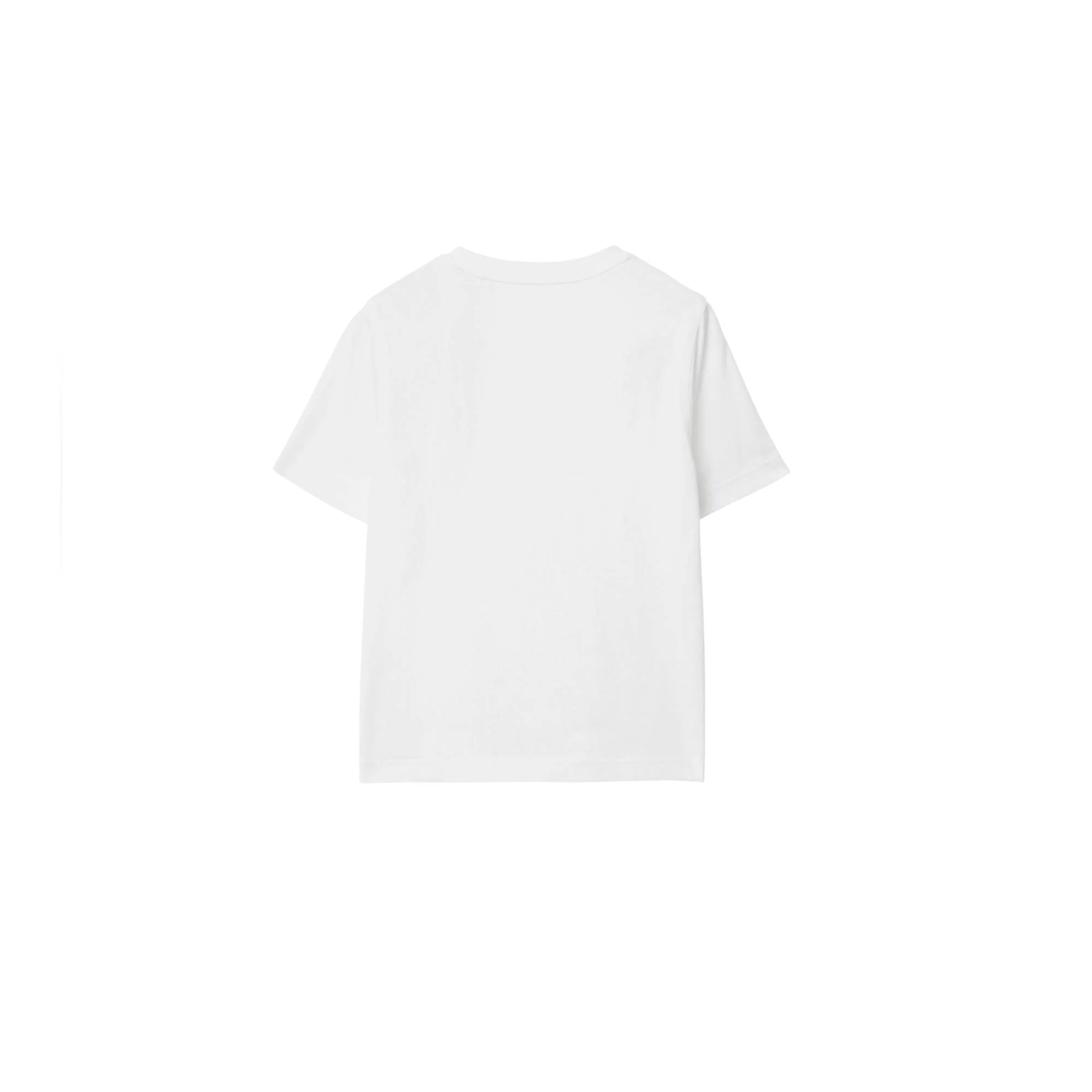 Cotton T-shirt - White - Image 2