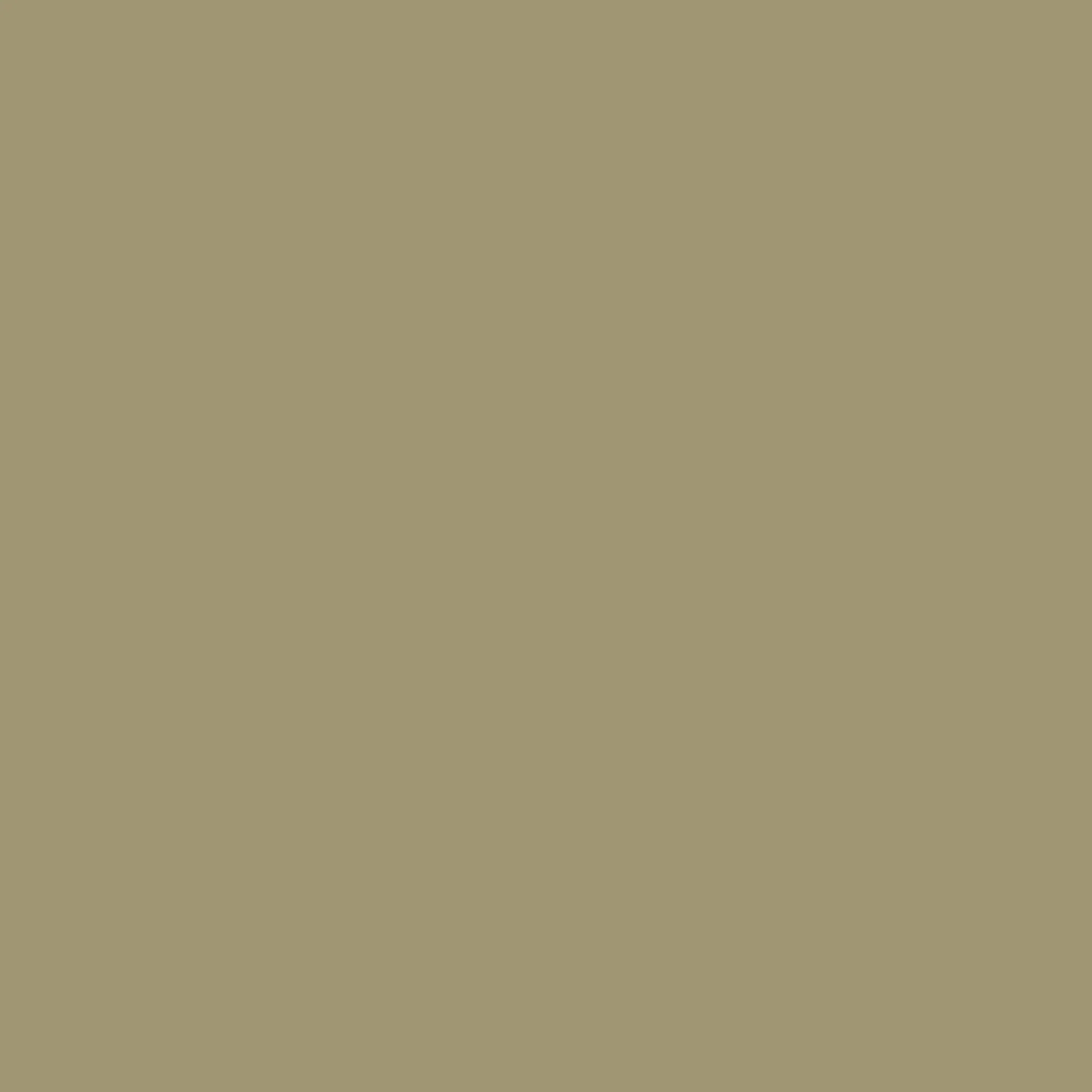 Cotton Blend Shirt - Hunter - Image 4