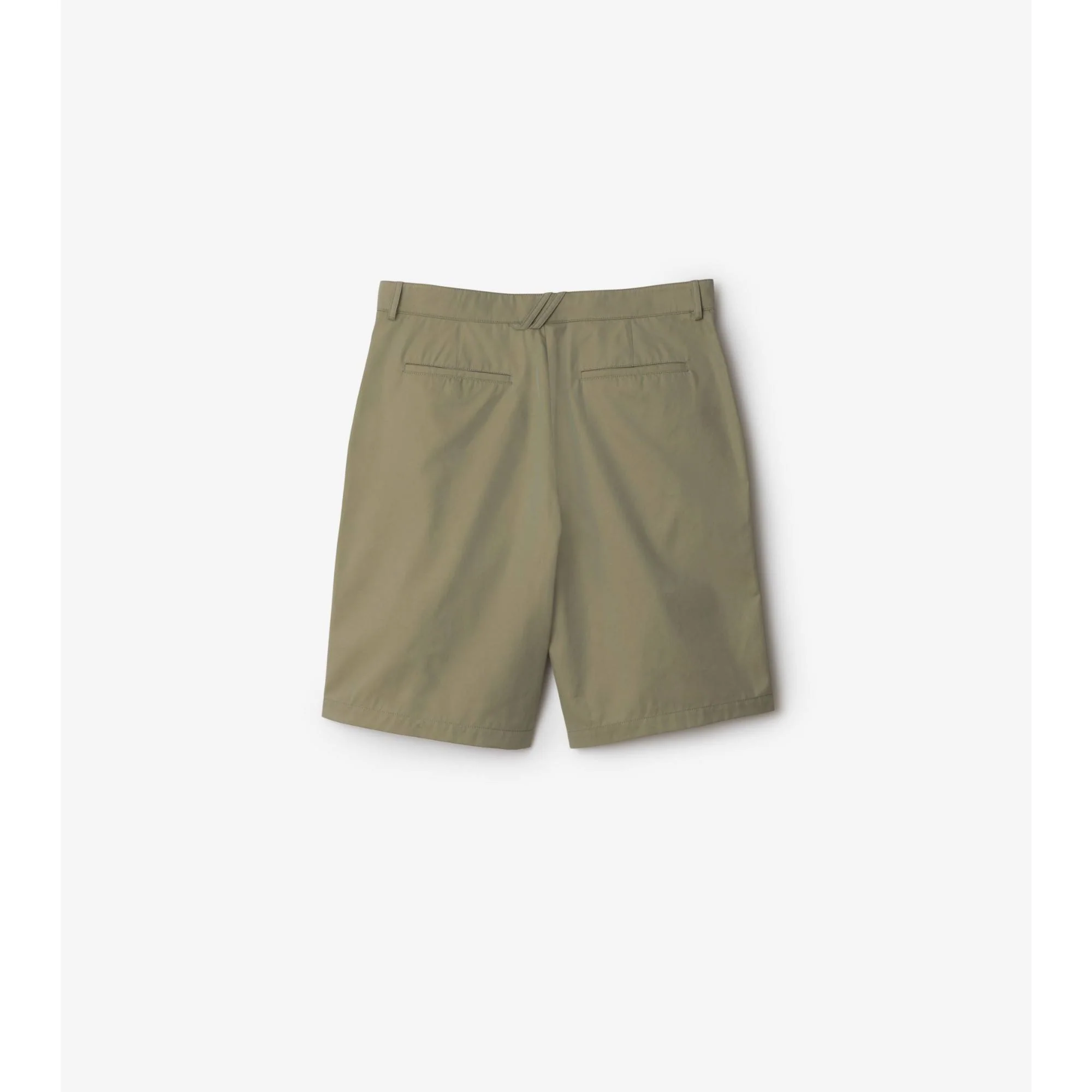 Cotton Chino Shorts - Tent - Image 5