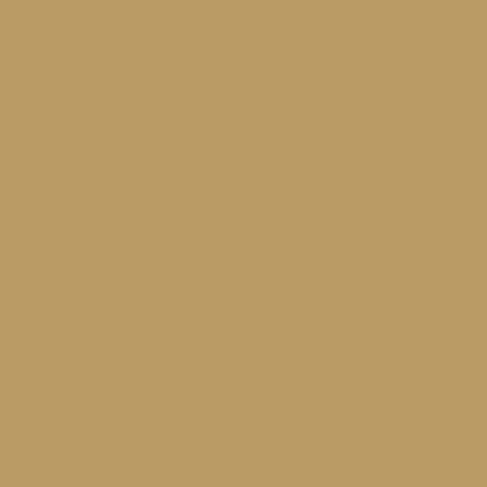 Cotton Chino Shorts - Spelt - Image 6